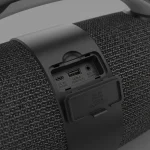 اسپیکر بی سیم پارما ضدآب PARMA WIRELESS SPEAKER GREEN LION به - تصویر 7