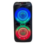 اسپیکر بزرگ GALEXBIT RSD30 - تصویر 2